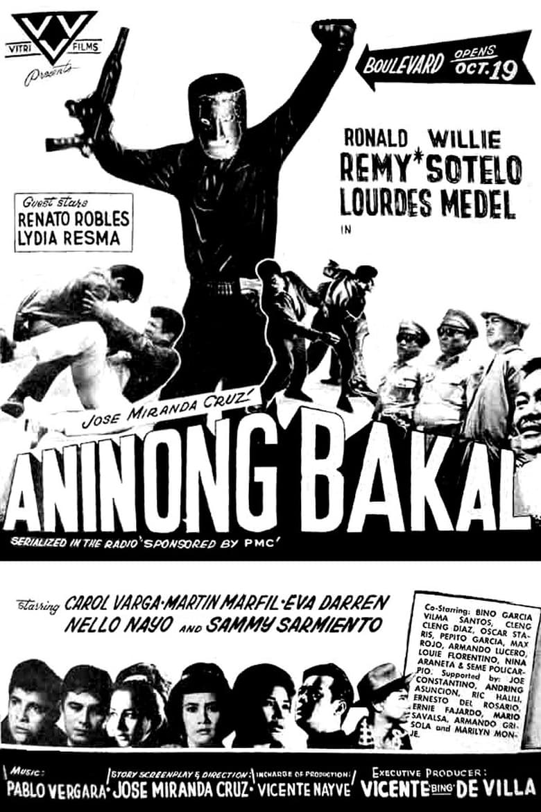 Poster of Aninong Bakal