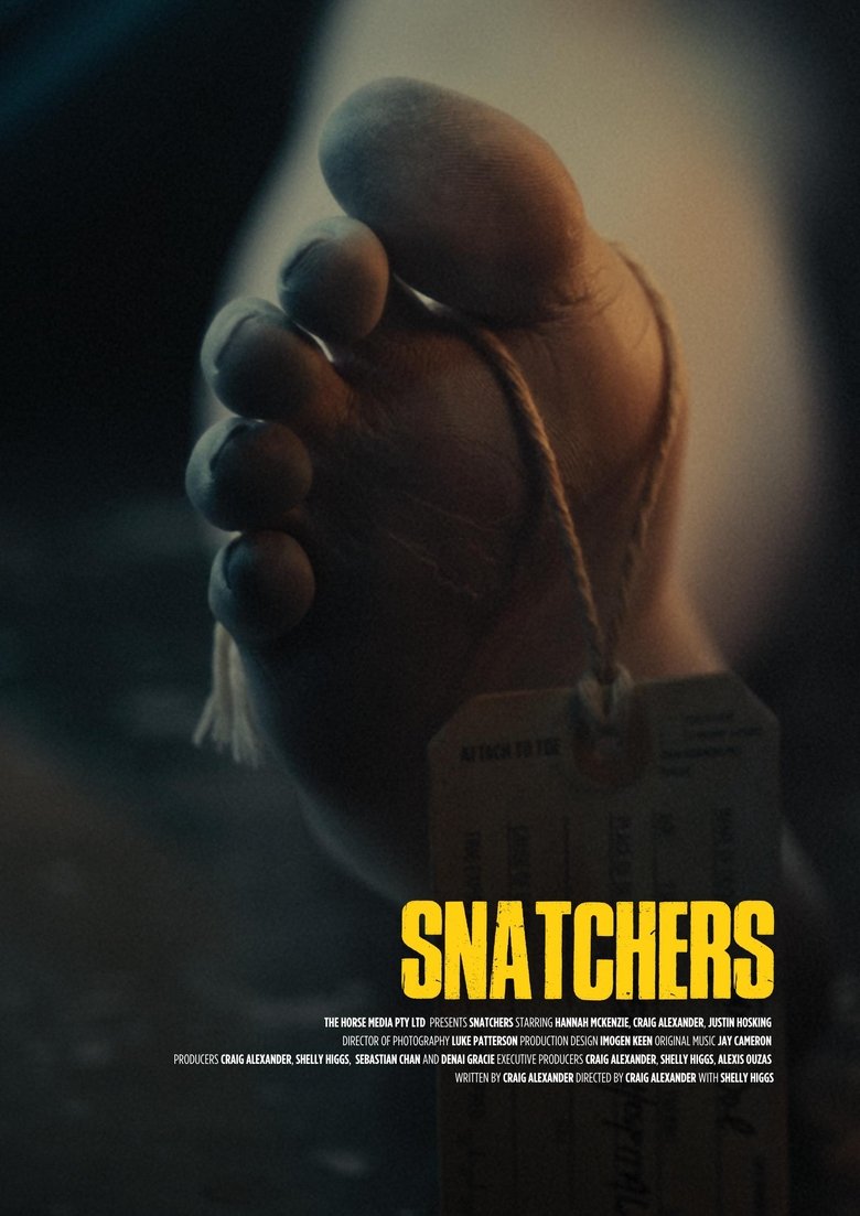 Poster of Snatchers