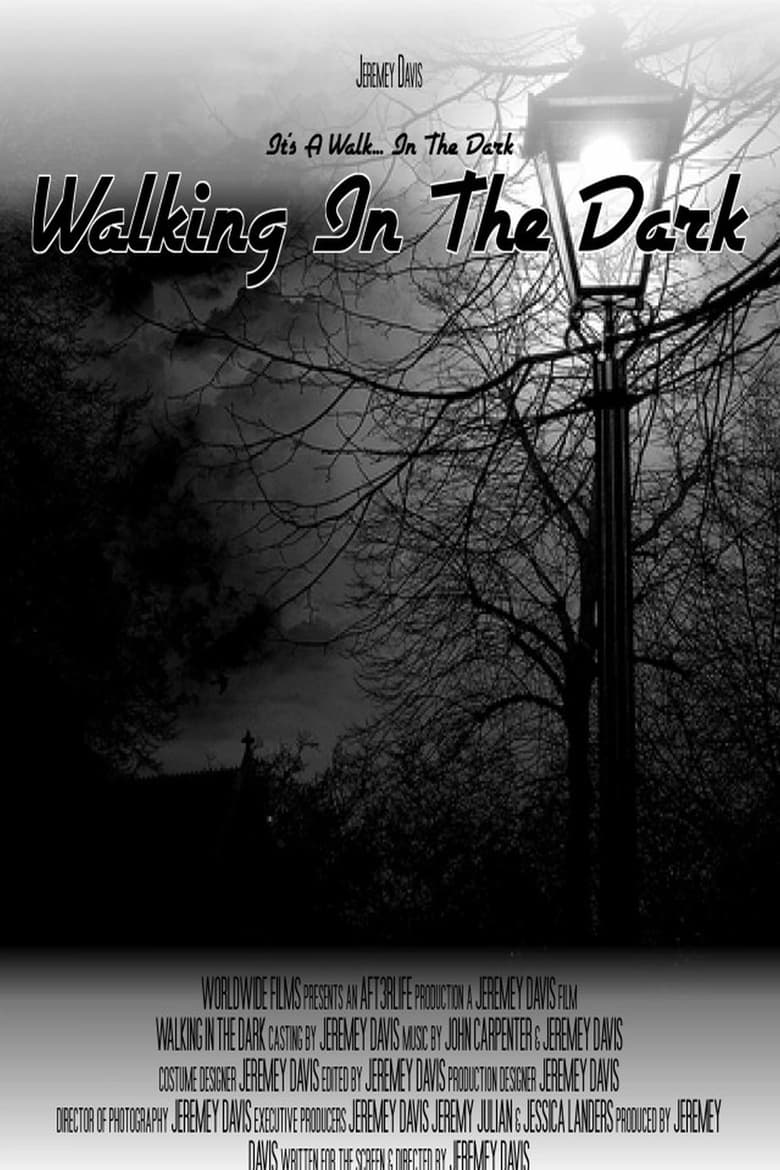 Poster of Walking In The Dark