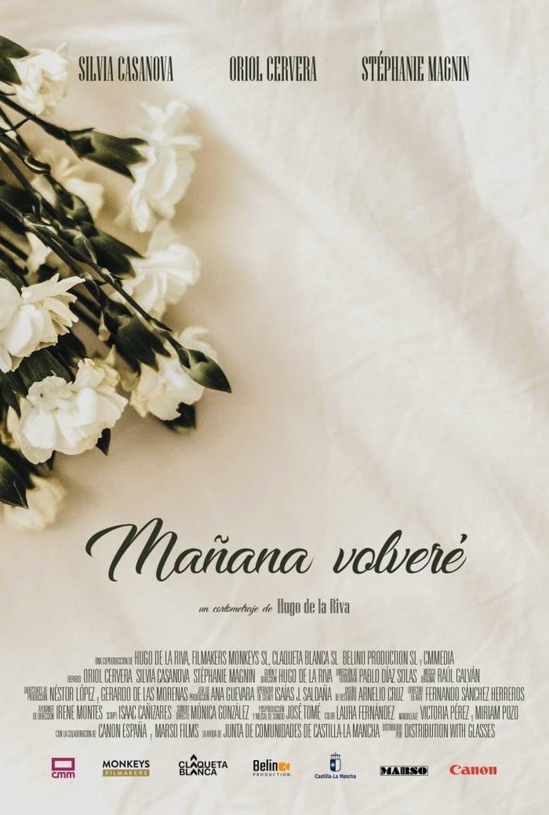 Poster of Mañana volveré