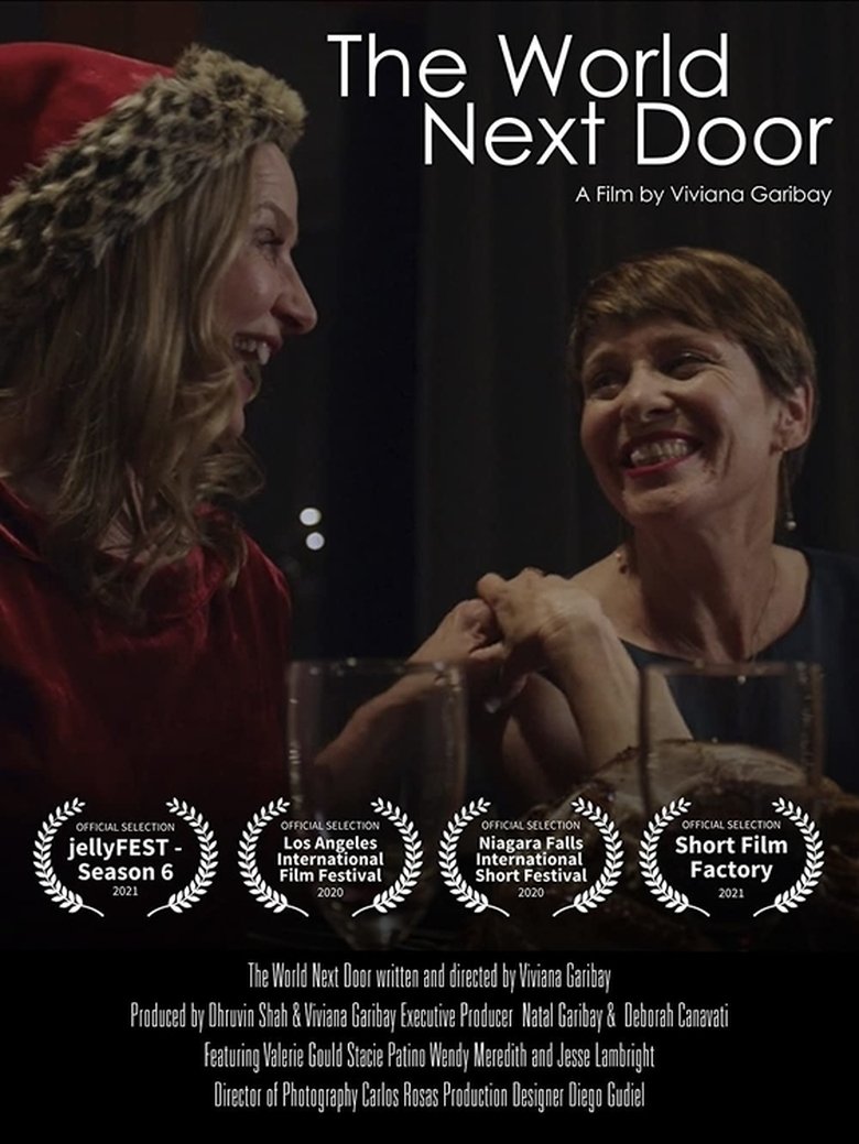 Poster of The World Next Door