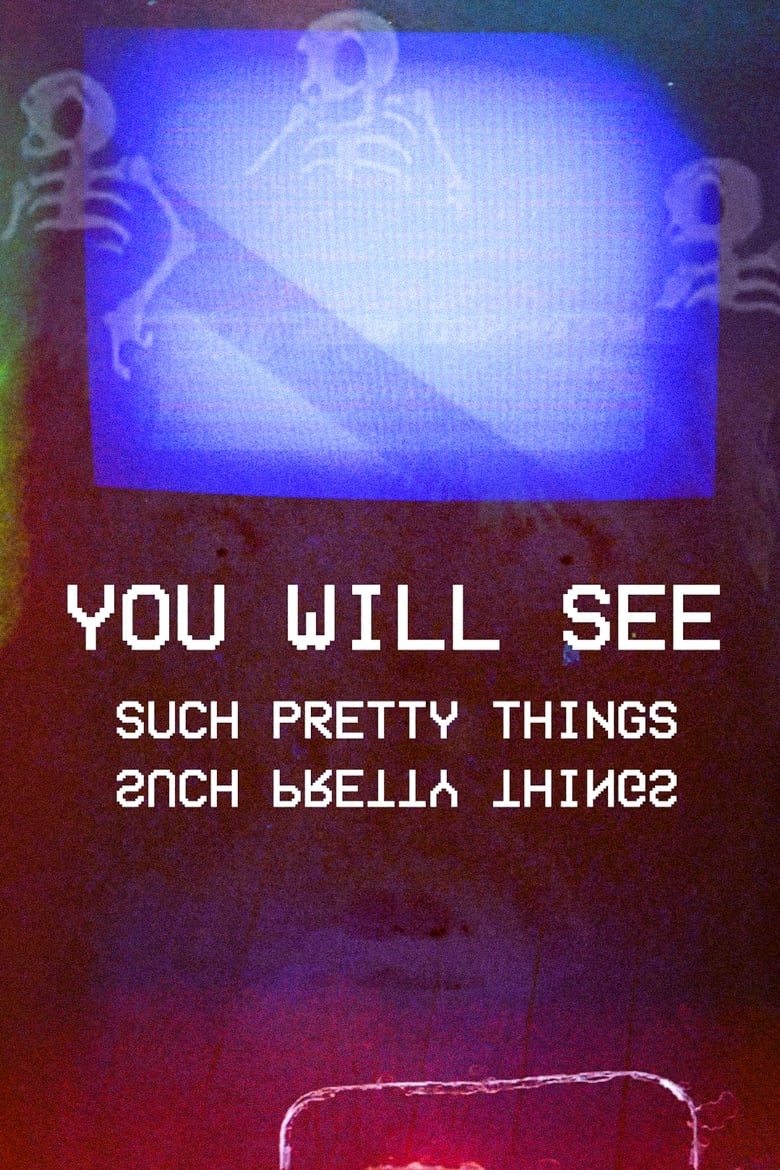 Poster of You Will See Such Pretty Things