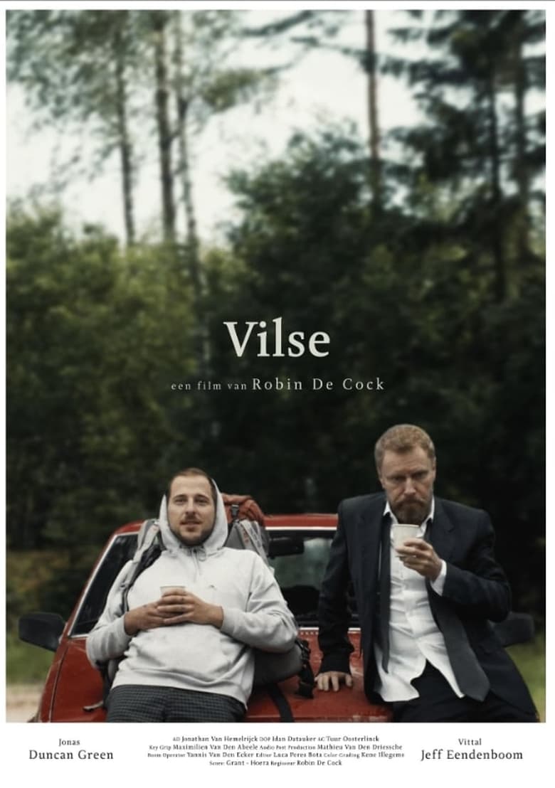 Poster of Vilse