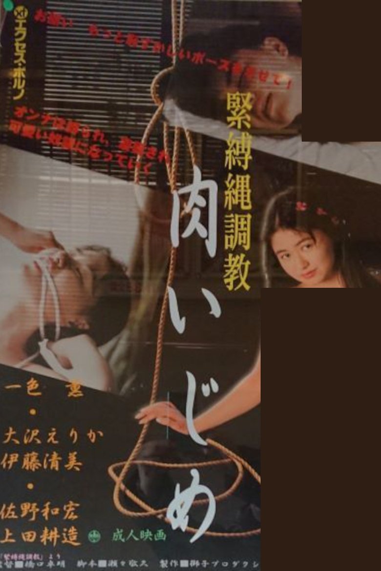 Poster of Bondage Rope Training