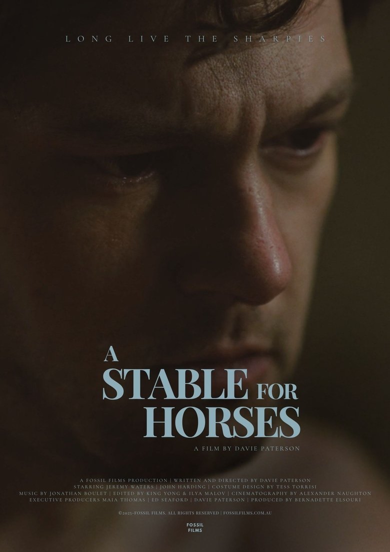 Poster of A Stable for Horses