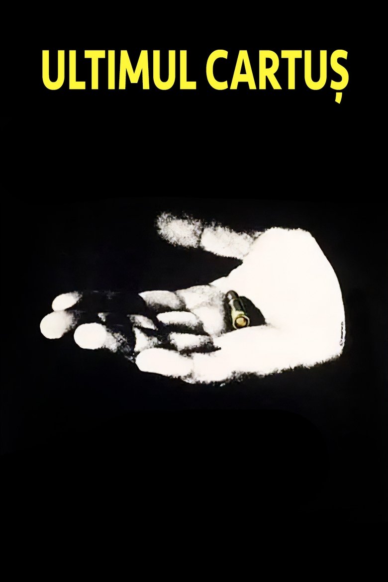 Poster of The Last Bullet