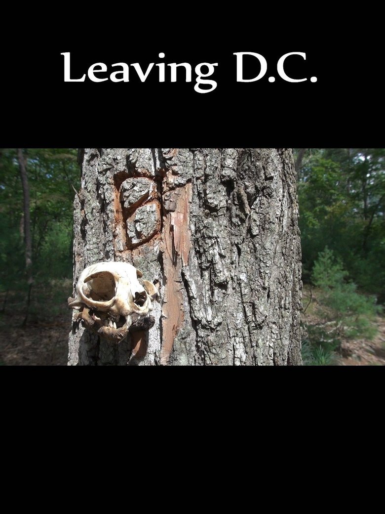 Poster of Leaving D.C.