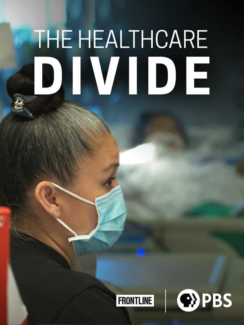 Poster of The Healthcare Divide