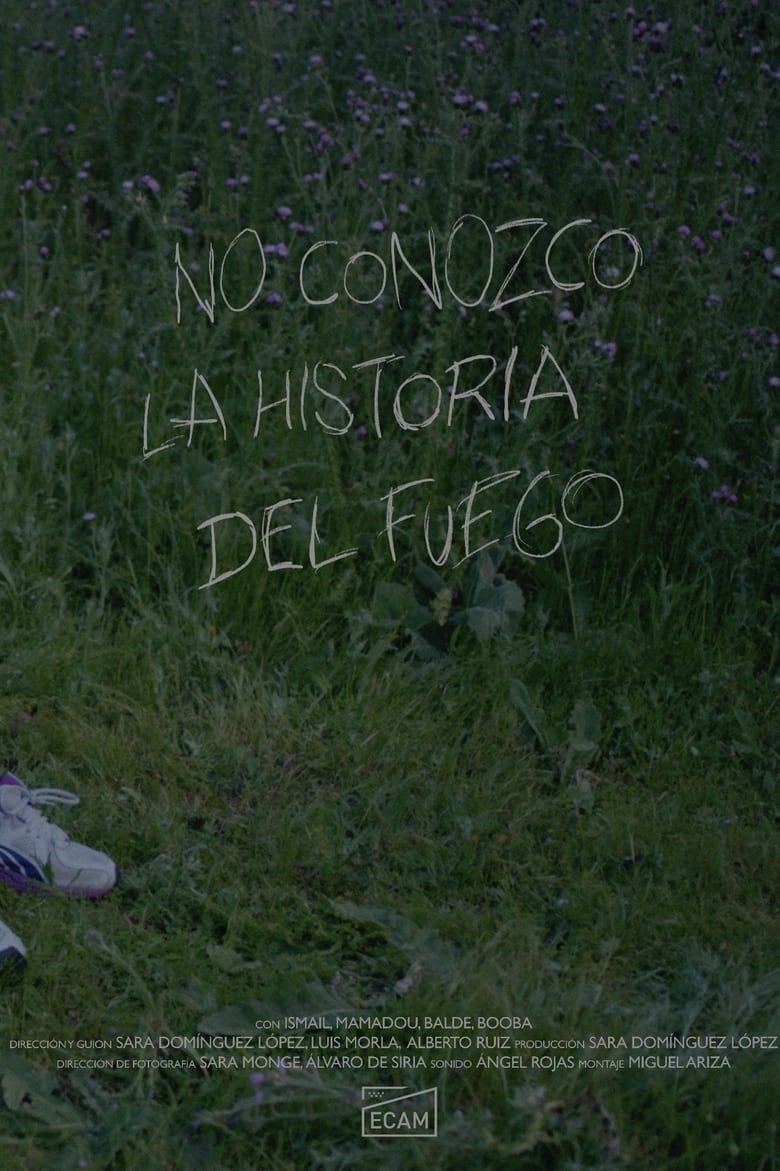 Poster of No conozco la historia del fuego