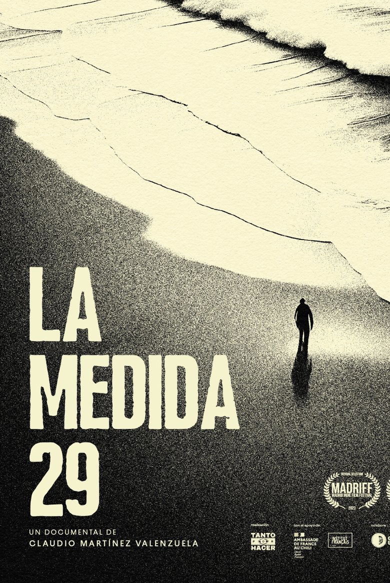 Poster of The 29 Law