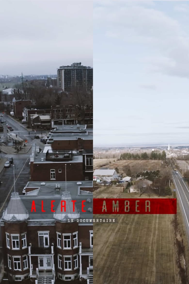 Poster of Alerte amber : le documentaire