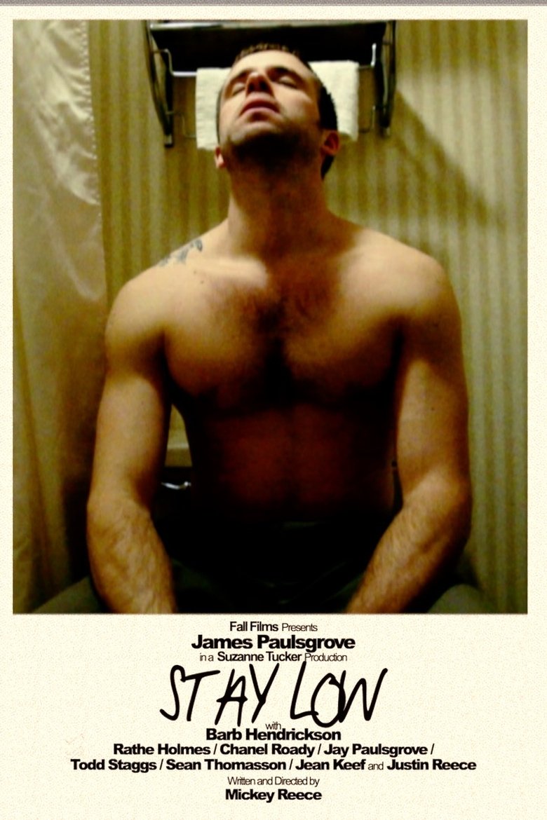 Poster of Stay Low
