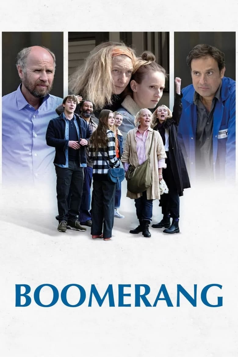 Poster of Boomerang