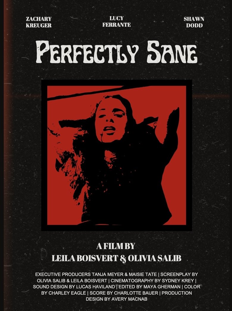 Poster of Perfectly Sane