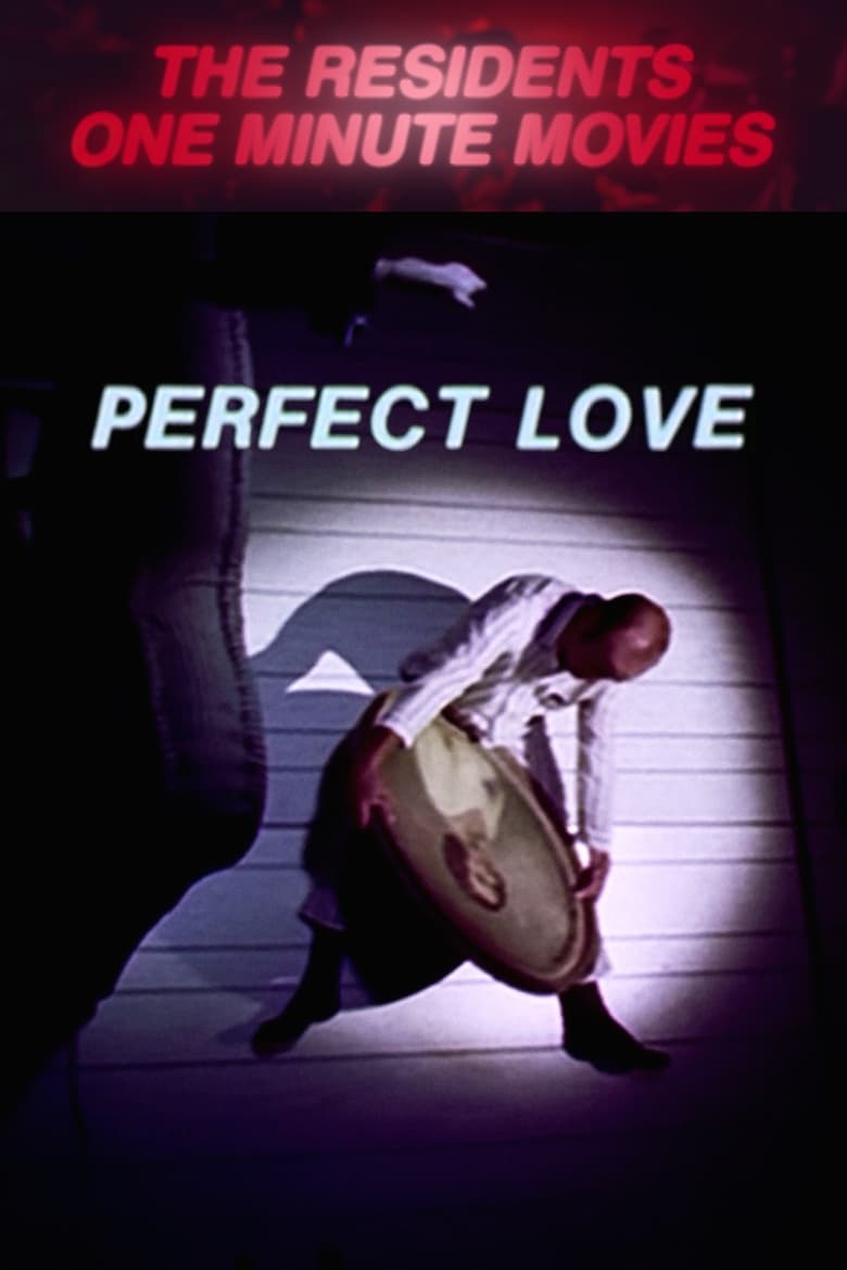 Poster of Perfect Love