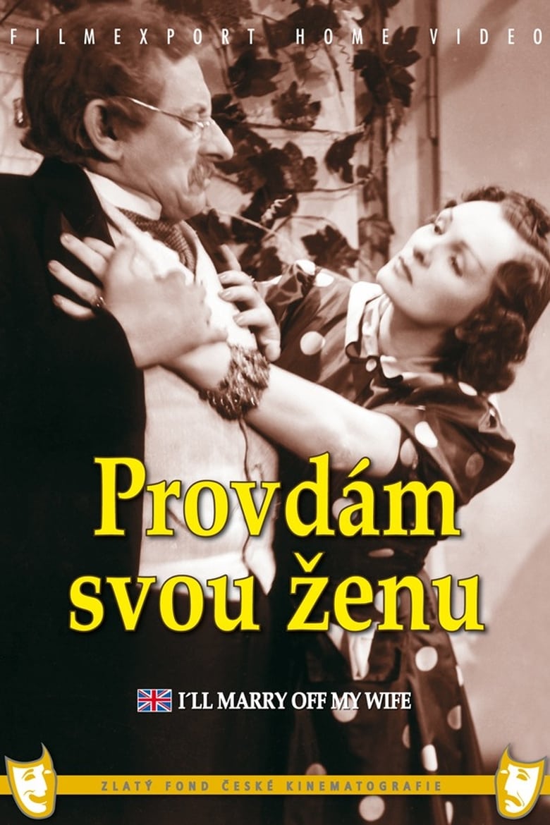 Poster of Provdám svou ženu