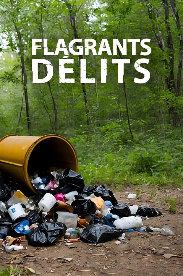 Poster of Flagrants délits