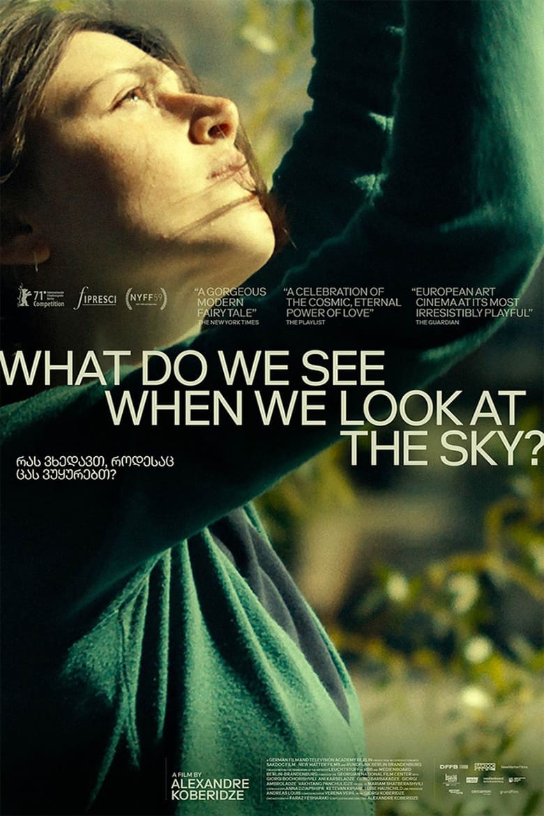 Poster of What Do We See When We Look at the Sky?