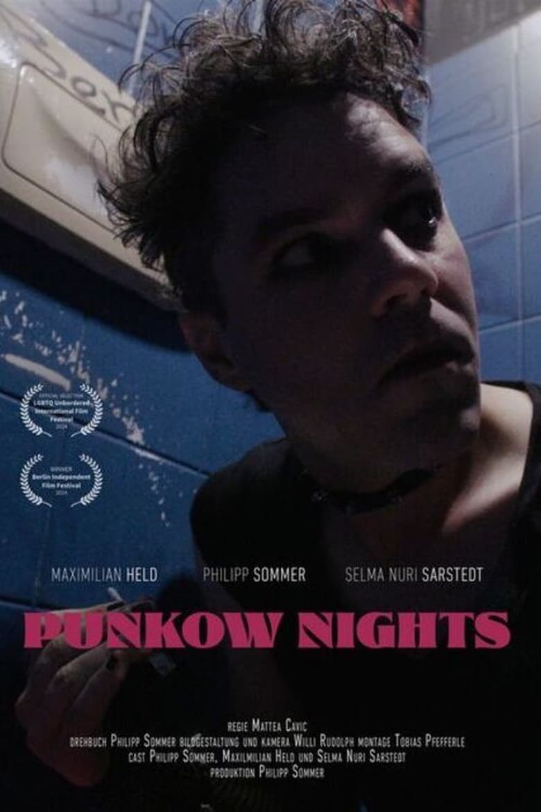 Poster of Punkow Nights