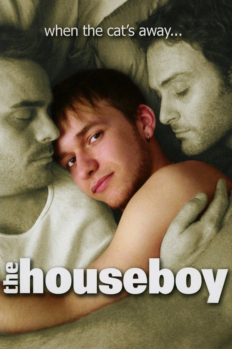 Poster of The Houseboy