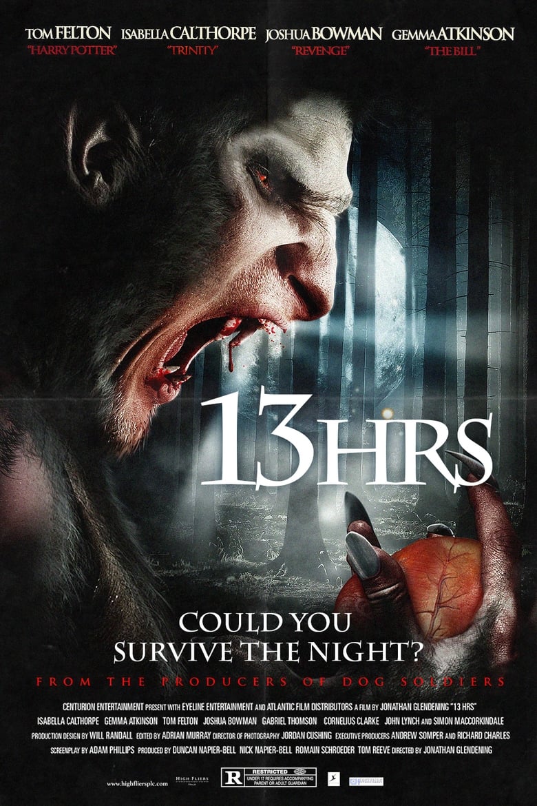 Poster of 13Hrs