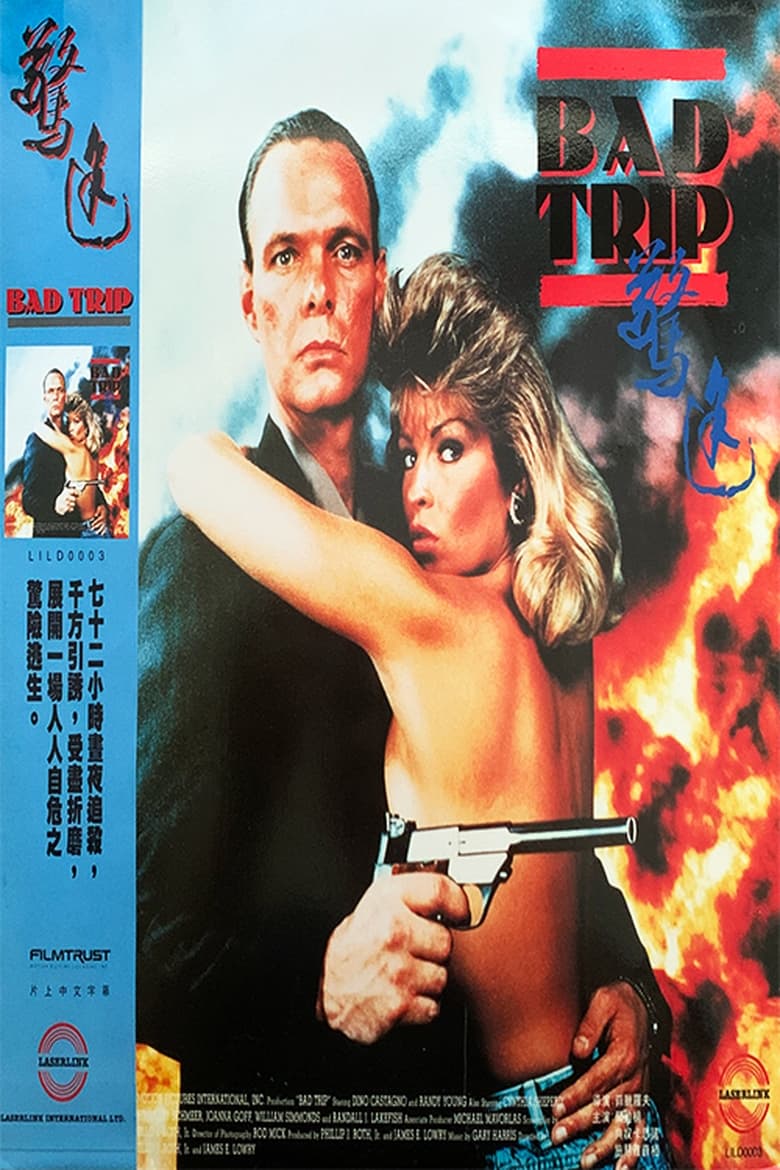 Poster of Bad Trip