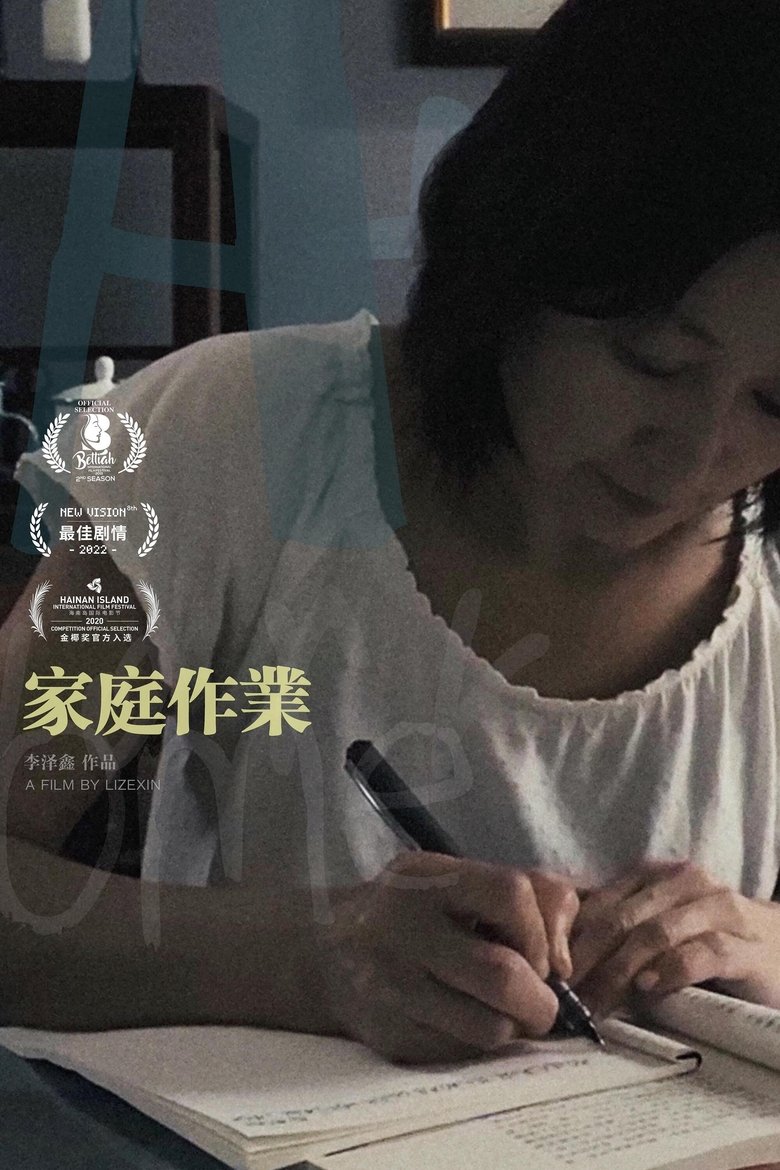 Poster of 家庭作业