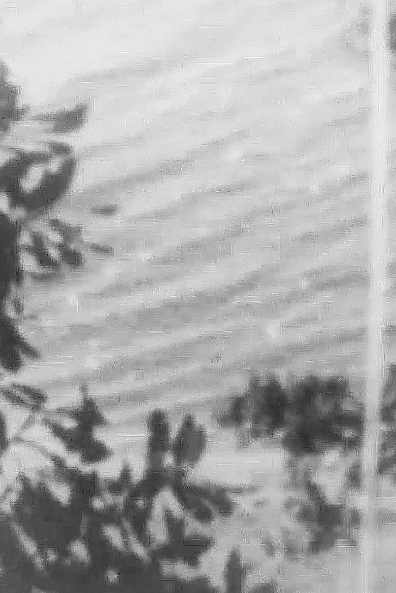 Poster of Point Chevalier Beach