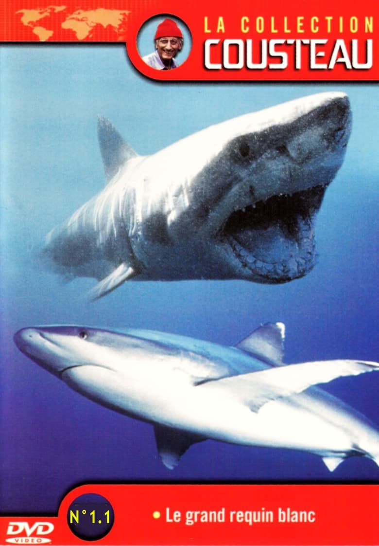 Poster of La Collection Cousteau N° 1 | Le Grand Requin Blanc | Les Requins Dormeurs Du Yucatan