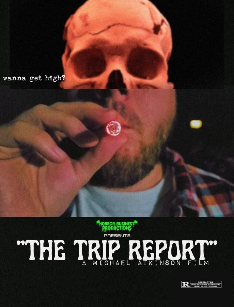 Poster of The Trip Report