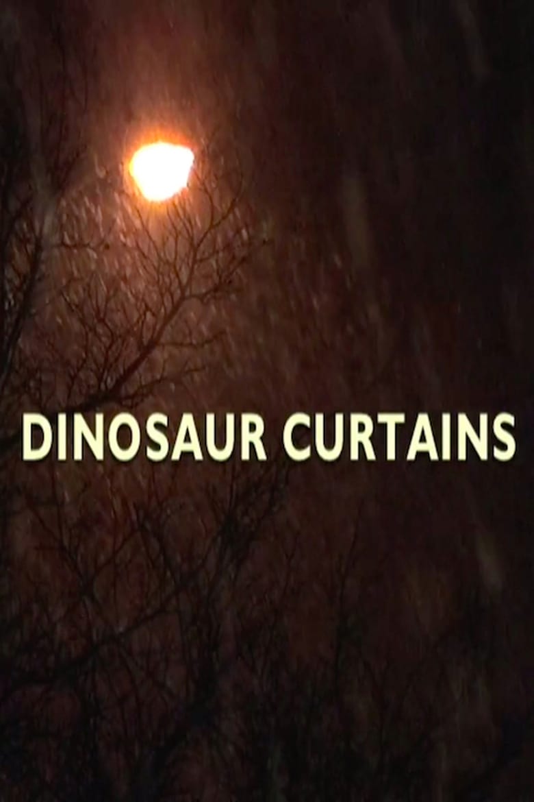 Poster of Dinosaur Curtains