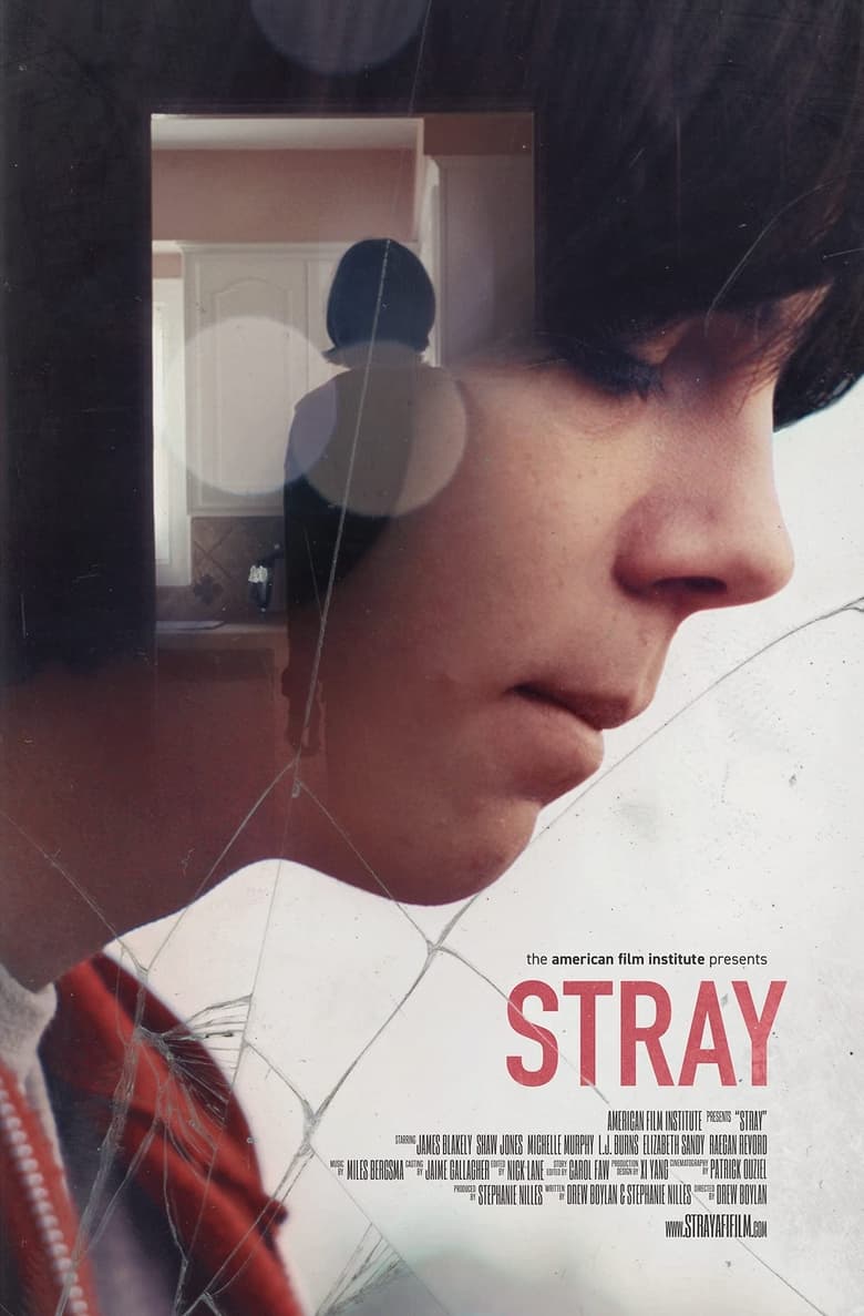 Poster of Stray