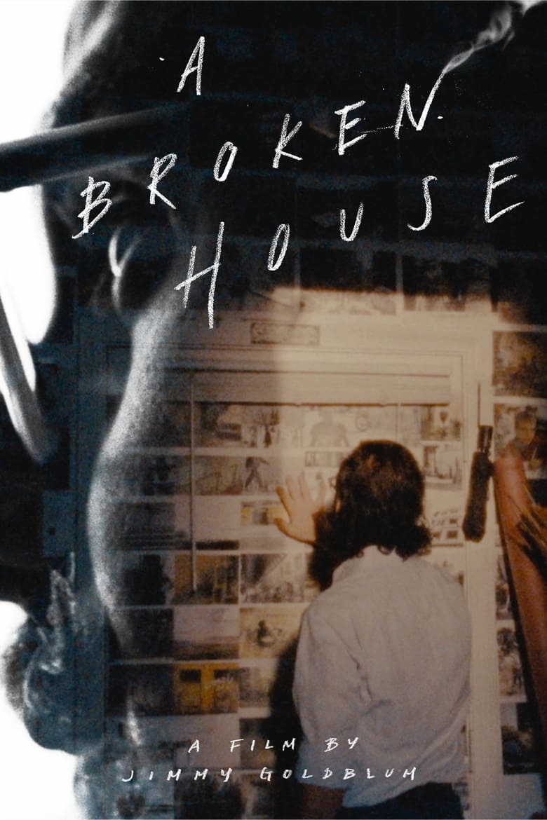 Poster of A Broken House