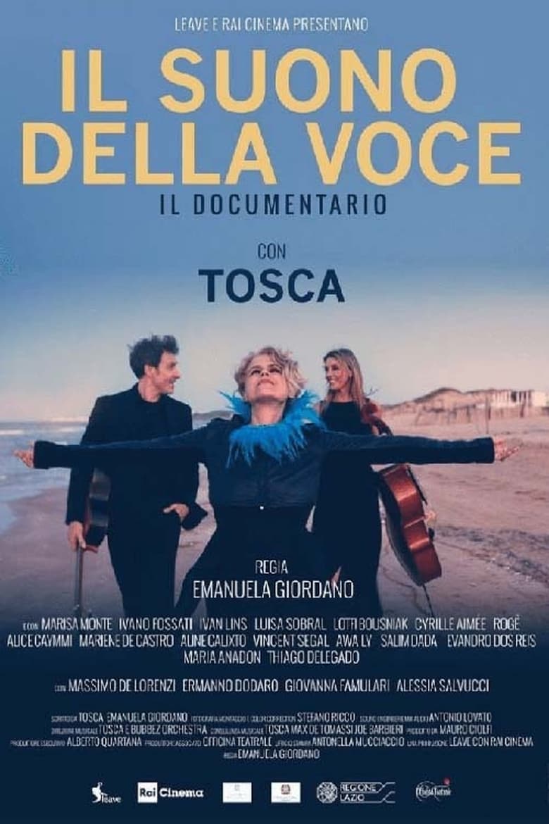 Poster of Il suono della voce