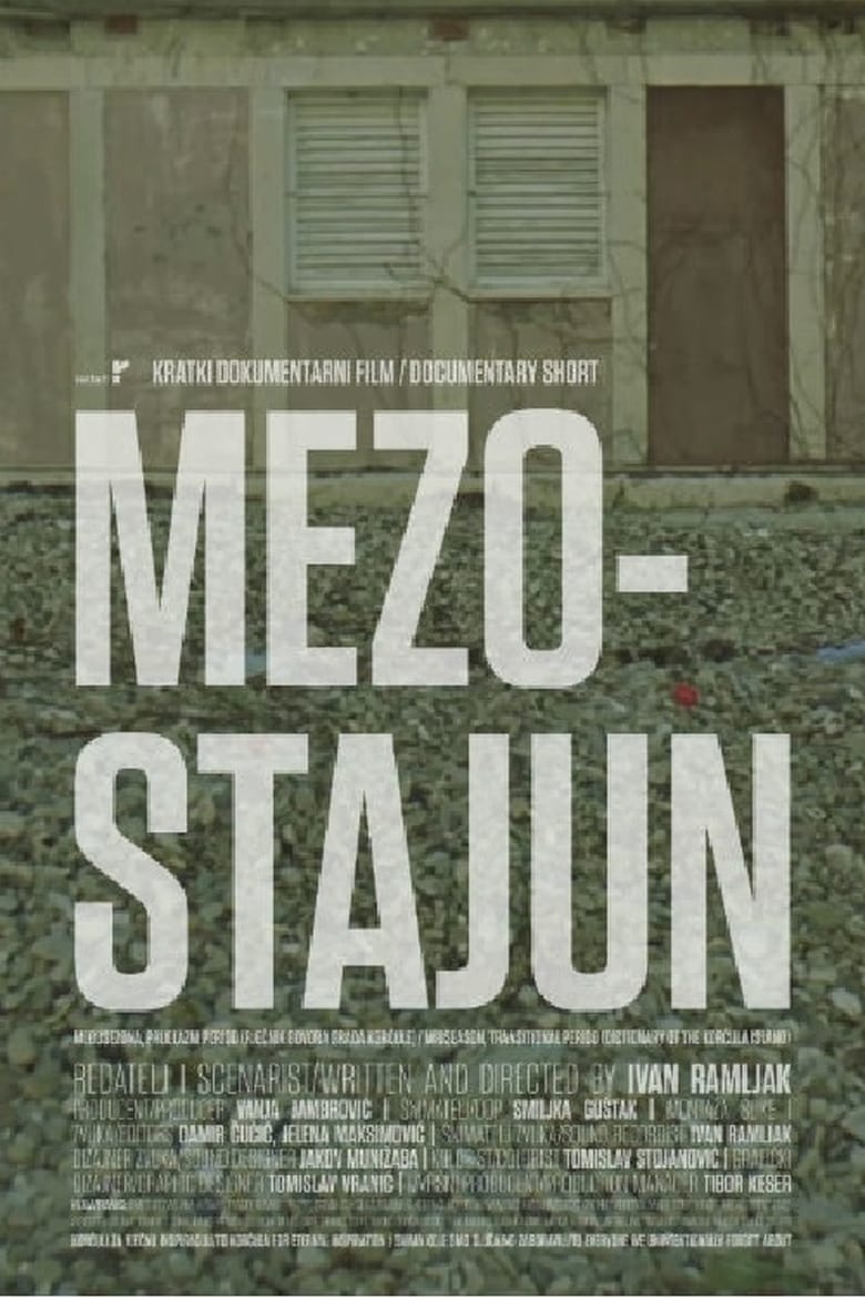 Poster of Mezostajun