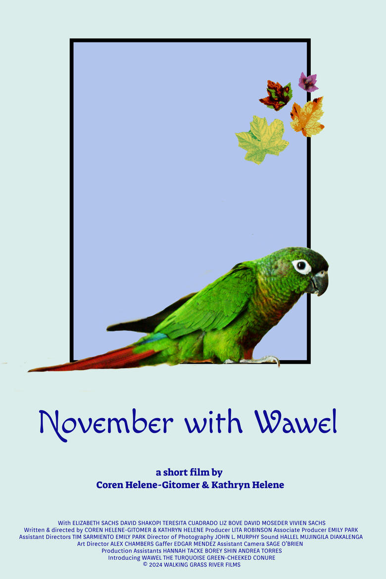 Poster of November with Wawel