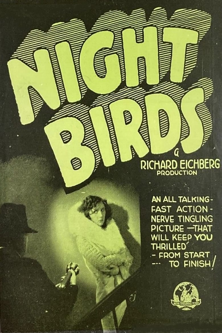 Poster of Night Birds