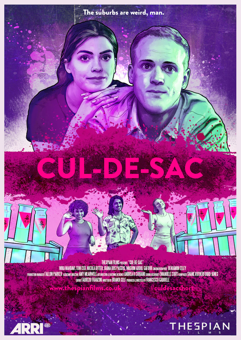 Poster of Cul-de-sac