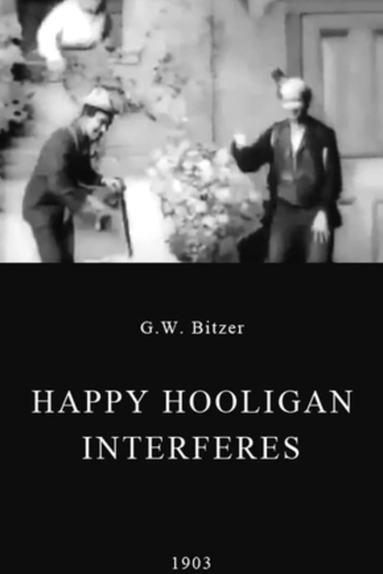 Poster of Happy Hooligan Interferes