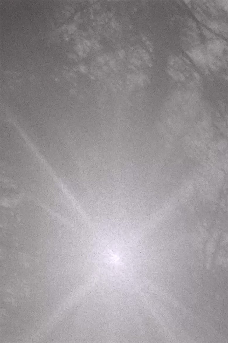 Poster of Wherefrom the Shadows That Are Forms Fall