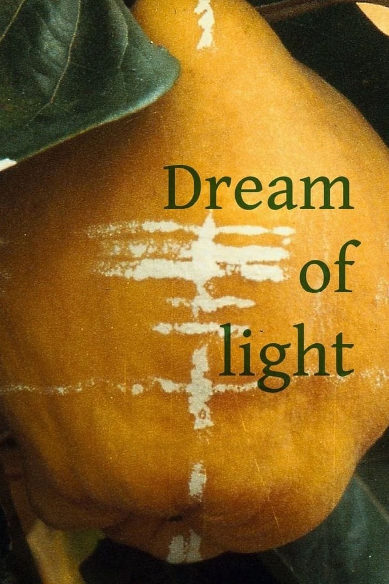 Poster of Dream of Light