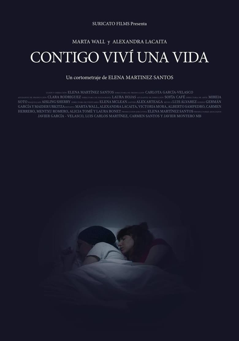 Poster of Contigo viví una vida