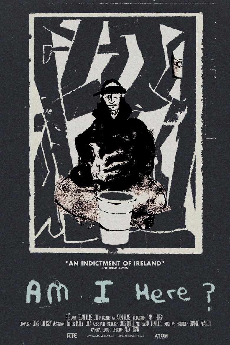 Poster of Am I Here? Homeless in Ireland