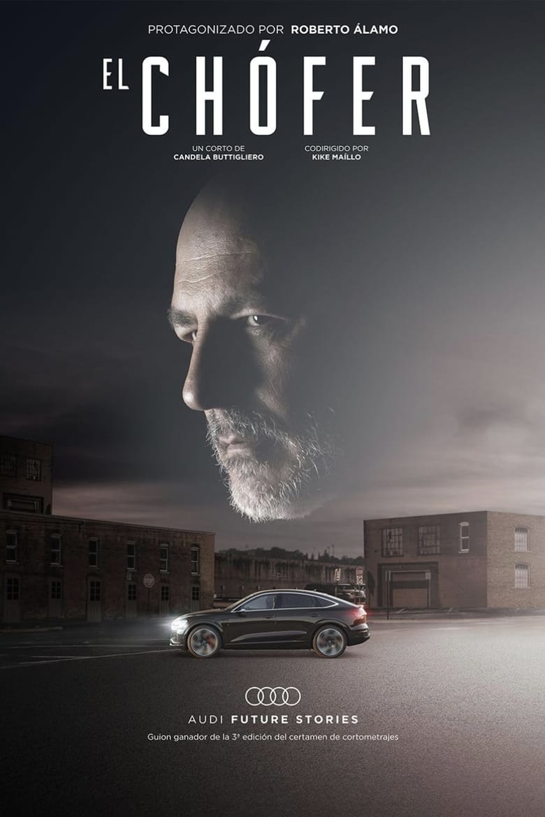 Poster of The Driver