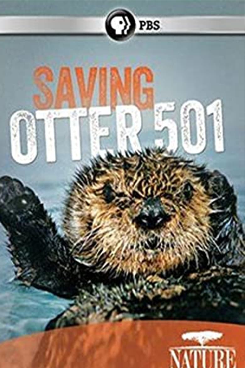 Poster of Saving Otter 501