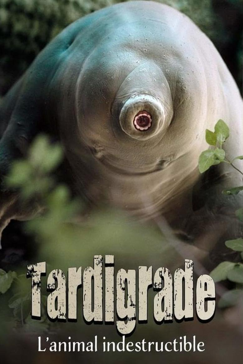 Poster of Tardigrade, l'animal indestructible