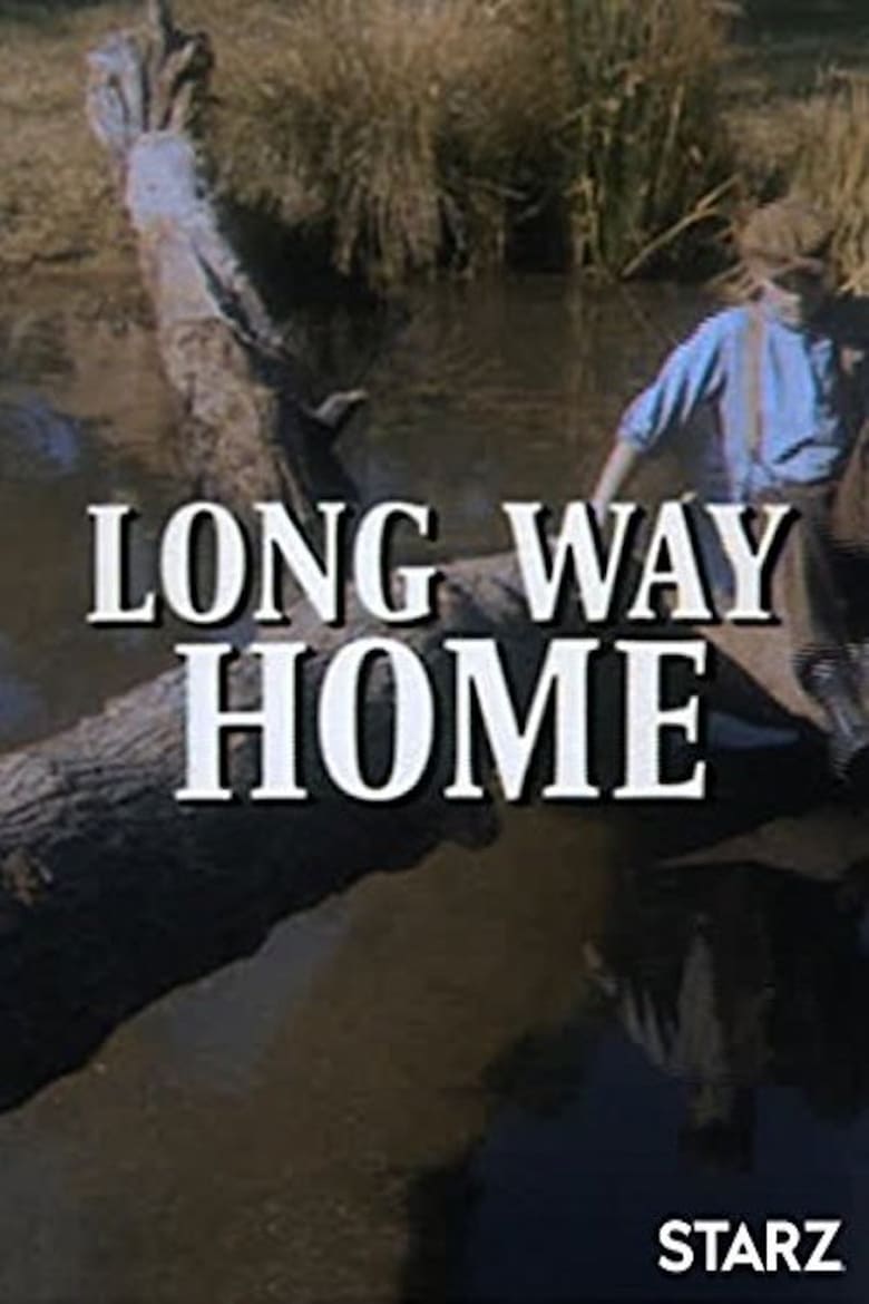 Poster of Long Way Home