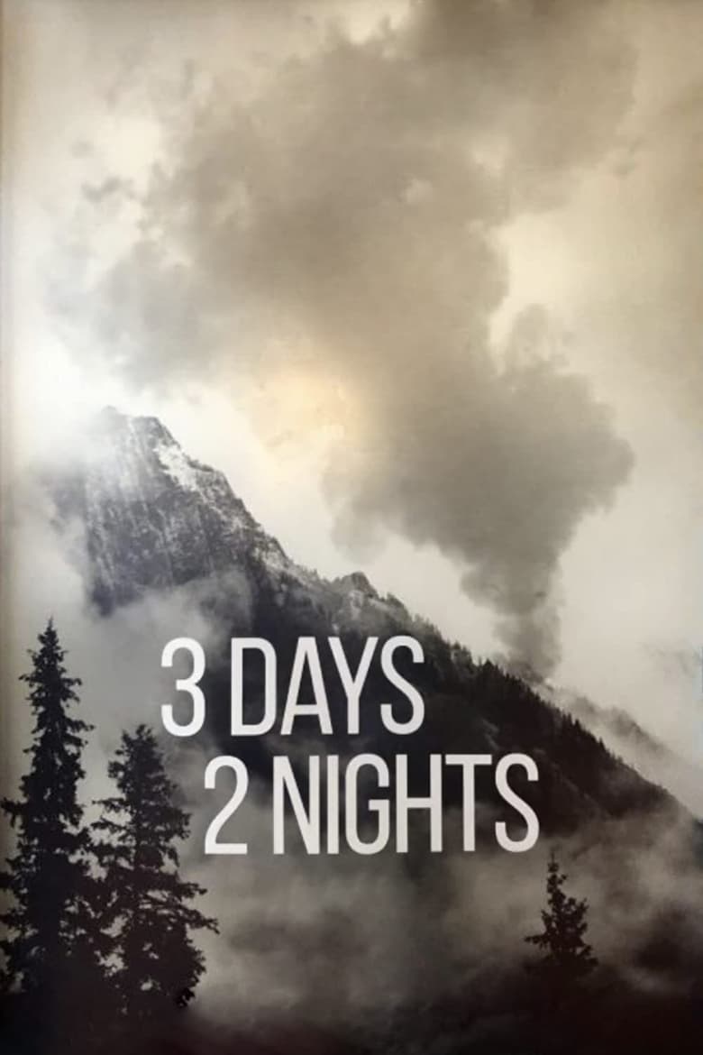 Poster of 3 Days 2 Nights