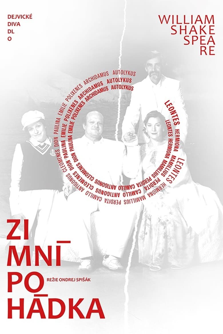 Poster of Zimní pohádka