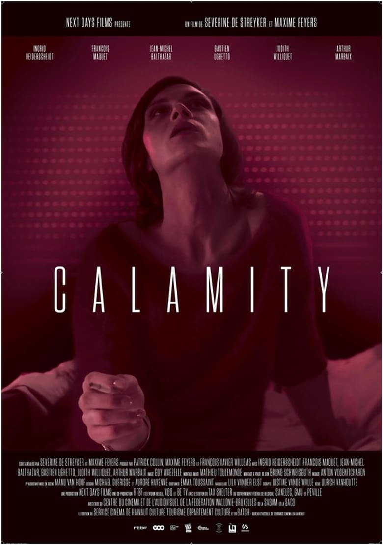 Poster of Calamity